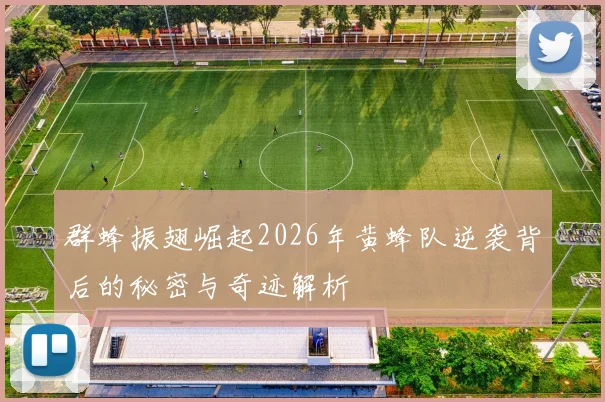 群蜂振翅崛起2026年黄蜂队逆袭背后的秘密与奇迹解析