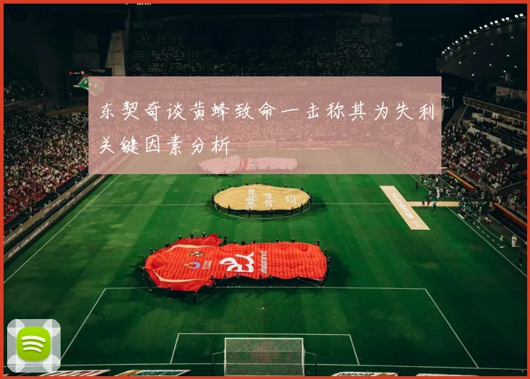 东契奇谈黄蜂致命一击称其为失利关键因素分析