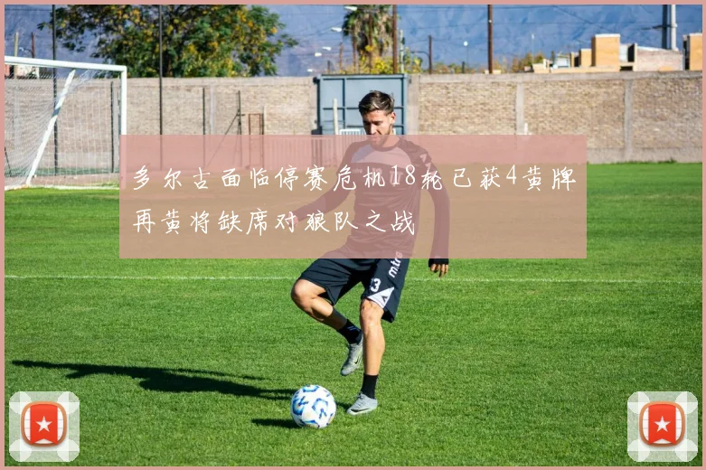 多尔古面临停赛危机18轮已获4黄牌再黄将缺席对狼队之战